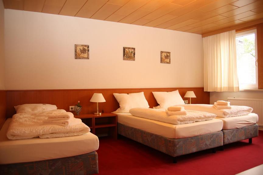 Hotel Garni Kaiserpfalz Γκόσλαρ Εξωτερικό φωτογραφία