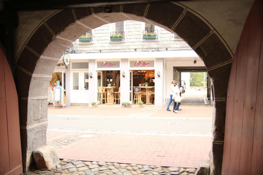 Hotel Garni Kaiserpfalz Γκόσλαρ Εξωτερικό φωτογραφία